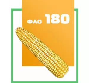 Семена кукурузы гибрид Днепровский 181СВ