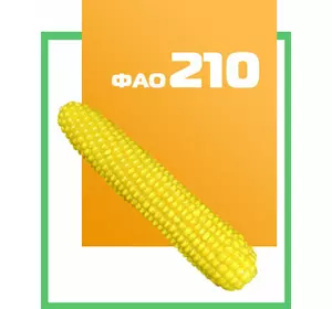 Семена кукурузы гибрид Кремень 200 СВ