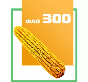 Семена кукурузы гибрид ДН Деметра