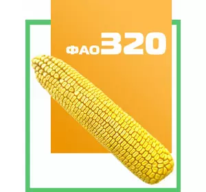 Семена кукурузы гибрид ДН Аквозор 320