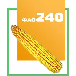Семена кукурузы гибрид ДН Хортица