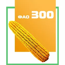 Семена кукурузы гибрид ДН Деметра