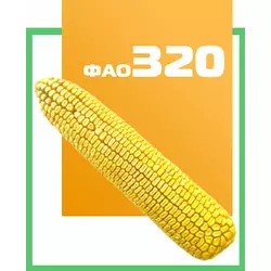 Семена кукурузы гибрид ДН Аквозор 320